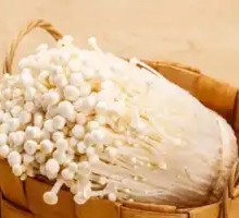 Enoki Mushroom