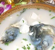 Green Carp Head and Tofu Soup