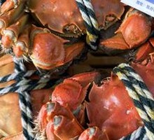 Fresh Female Crab