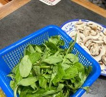 Watercress
