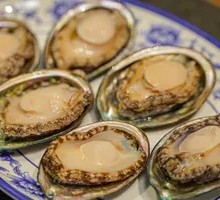 Fresh Abalone