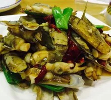 Beauty Clam