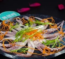 Squid