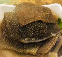 Large Pieces of Beef Tripe