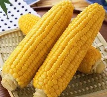 Corn on the Cob