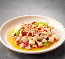 Fresh Squid