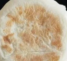 Golden Pancake