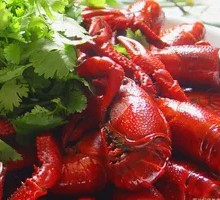 Lobster