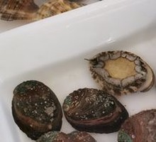 Abalone