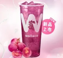 Rain-After Orchid Grape Sparkling Drink