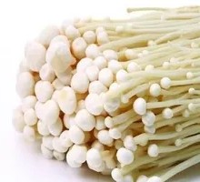 Enoki Mushroom