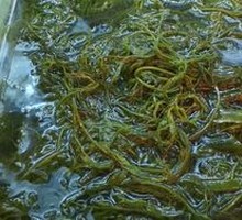 Bamboo Shoots with Firecracker Flavor