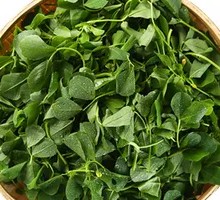 Watercress