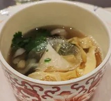 Surfing Live Sea Cucumber