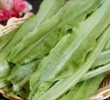 Oilseed lettuce