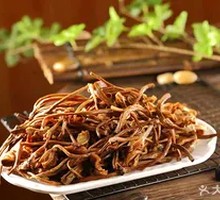 Camphor Tree Mushroom