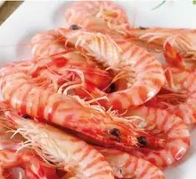 Giant Tiger Prawn