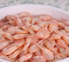 White Shrimp