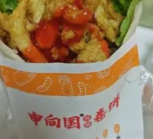 Special Chicken Roll