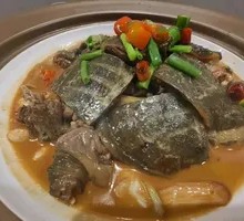 Wild Turtle with Mushroom Flavor