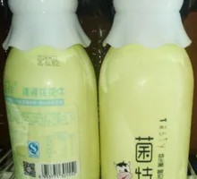 Flower Cow Mushroom Special Yogurt