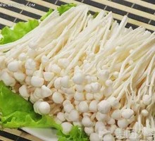 Enoki Mushroom