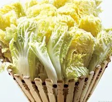 High Mountain Baby Bok Choy