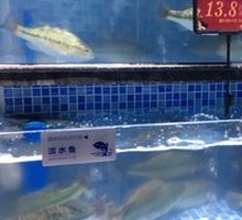 Sea Bass