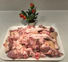 Northeast Snowy Goose