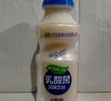 Daliyuan Lactic Acid Bacteria