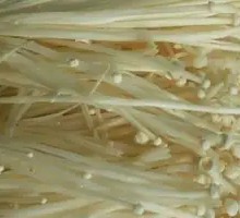Enoki Mushroom