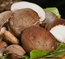 Shiitake Mushroom