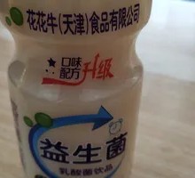 Flower Beef Probiotic