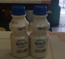 Original Probiotic Yogurt