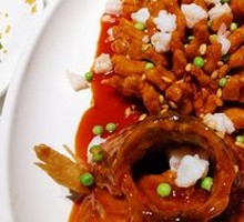Squirrel Salmon
