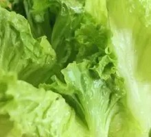 Lettuce