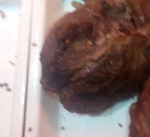 Tea-Smoked Beef Shank