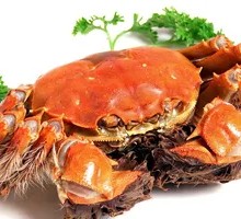 Steamed Female Crab