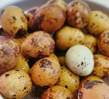 Hot-Brined Quail Eggs