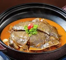 Special Softshell Turtle Dish