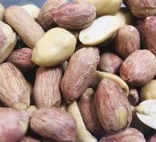 Garlic Roasted Peanuts