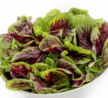 Red Amaranth