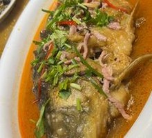 Yellow River Carp