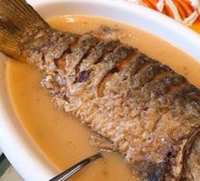 Yellow River Wild Big Carp