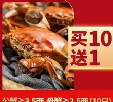 Freshwater Crab
