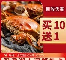 Yangcheng Lake Crab Gift Box 1288 Type