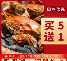 Yangcheng Lake Crab Gift Box 3998 Type