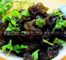 Elegant Cold Dishes