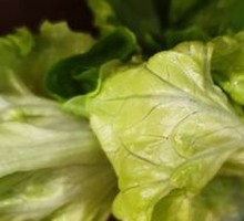 Lettuce