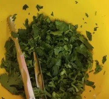 Cilantro